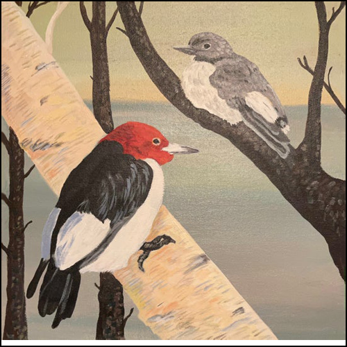 CAB-57 Red Headed Woodpecker | Wake Robin Studio